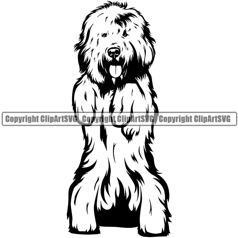 Old English Sheep Dog Begging Design Element Puppy Pup Head Purebred Pedigree Canine K-9 K9 Animal Portrait Doggy Face Cute Vector Clipart SVG