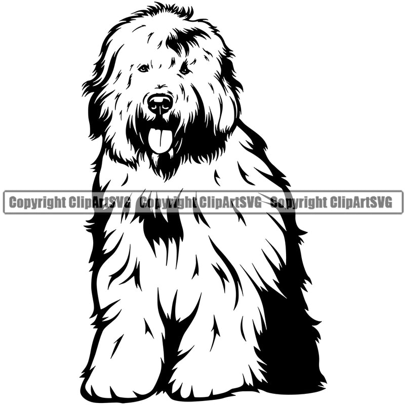 Old English Sheep Dog Sitting Design Element Head Purebred Pedigree Canine K-9 K9 Animal Portrait Cute Face Doggy Puppy Vector Clipart SVG
