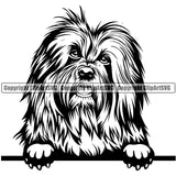 Old English Sheep Dog Peeking Design Element Puppy Pup Head Purebred Pedigree Canine K-9 K9 Animal Portrait Doggy Face Cute Clipart SVG