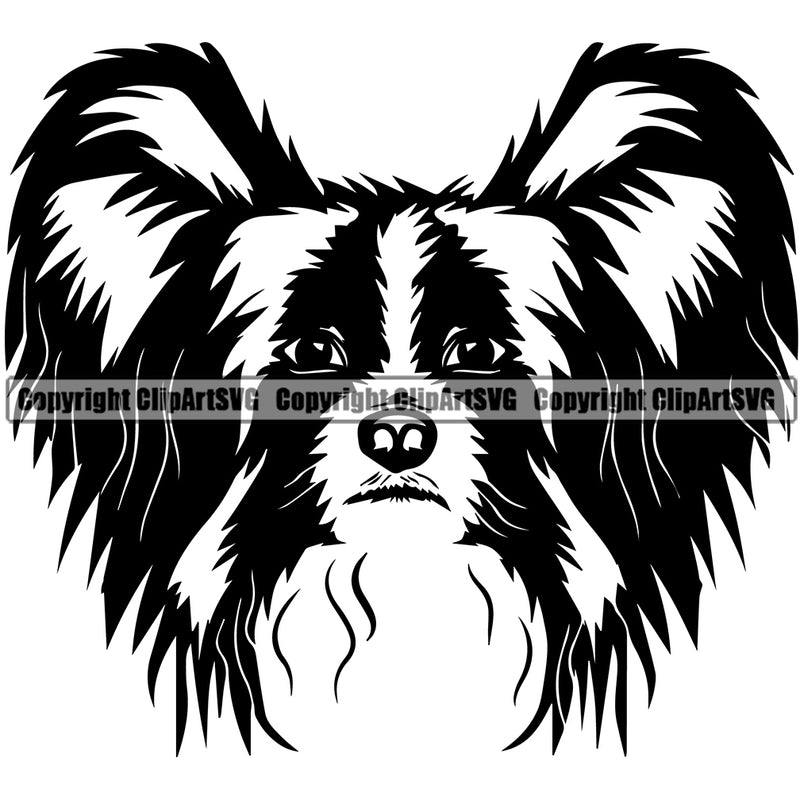 Papillion Dog Head Design Element Face Cute Animal Portrait Doggy Puppy Pup Purebred Pedigree Canine Vector Clipart SVG