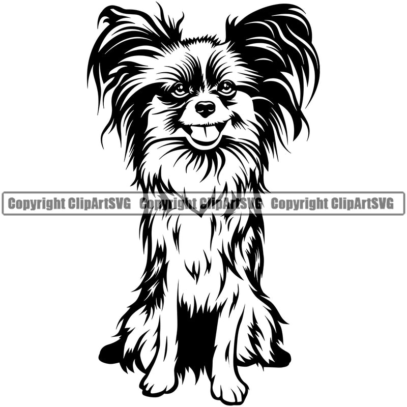 Papillion Dog Sitting Design Smile Face Doggy Pedigree Canine K-9 K9 Animal Portrait Puppy Pup Head Purebred Clipart SVG