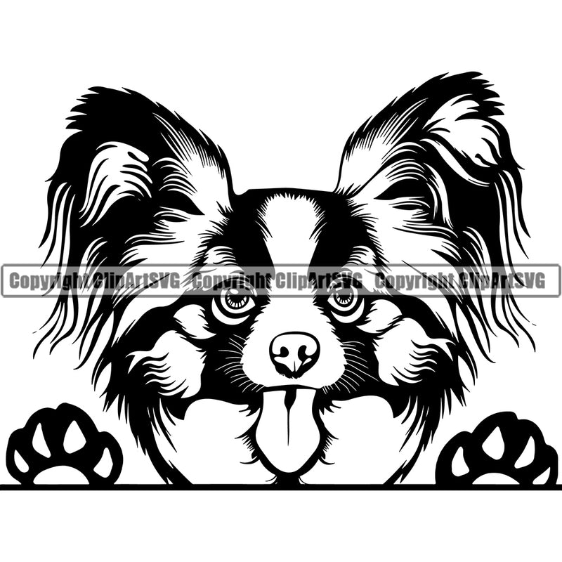 Papillion Dog Peeking Design  Head Purebred Pedigree Canine K-9 K9 Animal Portrait Doggy Face Cute Pup Clipart SVG