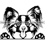 Papillion Dog Peeking Design  Head Purebred Pedigree Canine K-9 K9 Animal Portrait Doggy Face Cute Pup Clipart SVG