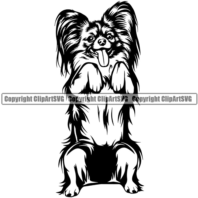 Papillion Dog Begging Design Element Pup Head Purebred Pedigree Canine K-9 K9 Animal Doggy Face Cute Portrait Vector Clipart SVG