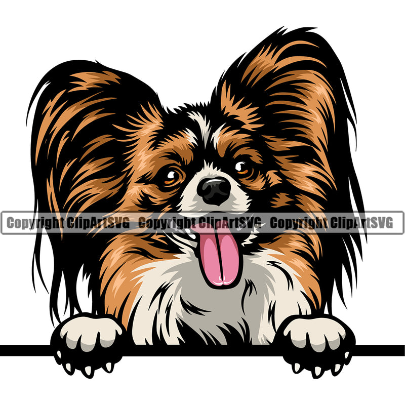 Papillion Dog Peeking Design Element Color Head Puppy Pup Purebred Pedigree Canine K-9 K9 Portrait Doggy Face Cute Animal Vector Clipart SVG