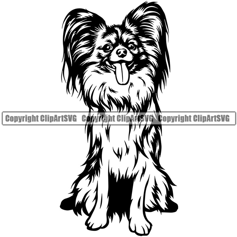 Papillion Dog Sitting Design Puppy Pup Animal Portrait Doggy Face Cute Head Purebred Pedigree Canine K9 Clipart SVG