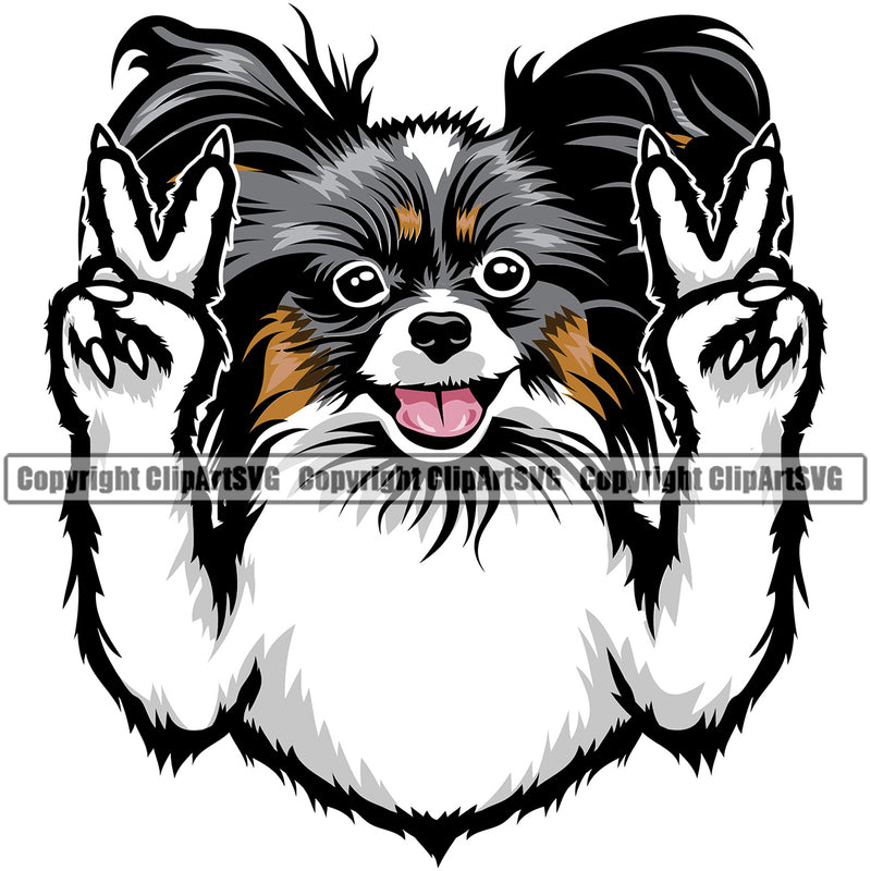 Papillion Dog Smile Face Design Color Head Purebred Pedigree Canine K-9 K9 Animal Portrait Doggy Face Puppy Pup Vector Clipart SVG