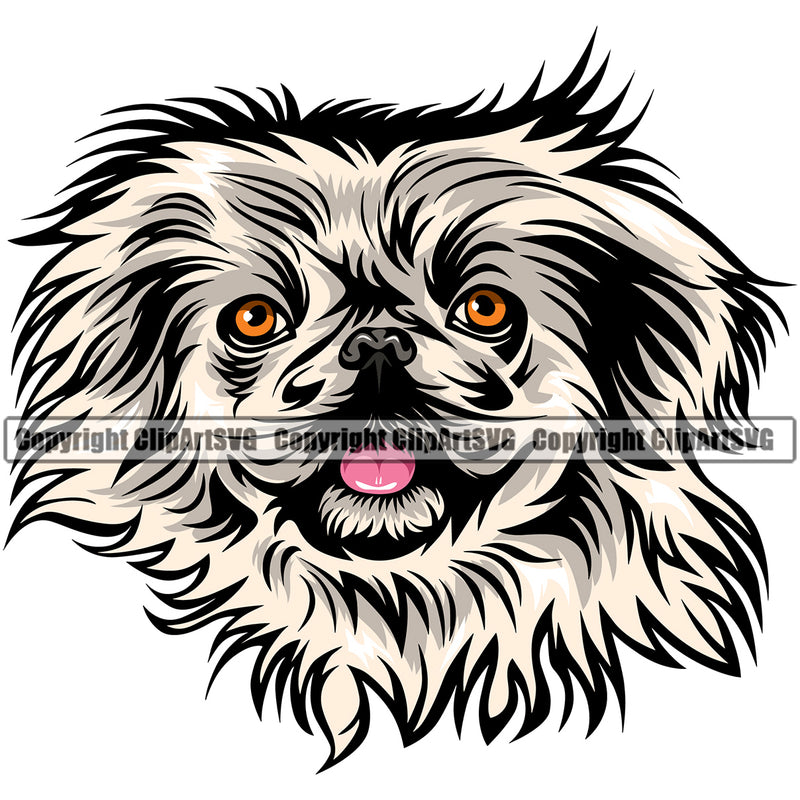 Pekingese Dog Color Head Design Element Puppy Pup Head Purebred Pedigree Face Cute Canine K-9 K9 Animal Portrait Doggy Vector Clipart SVG