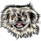 Pekingese Dog Color Head Design Element Puppy Pup Head Purebred Pedigree Face Cute Canine K-9 K9 Animal Portrait Doggy Vector Clipart SVG