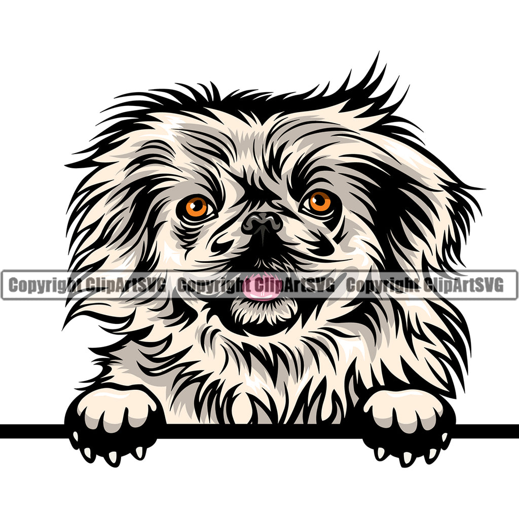 Pekingese Dog Peeking Design Element Puppy Pup Head Purebred Pedigree Animal Portrait Doggy Face Cute Body Canine Vector Clipart SVG
