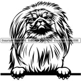 Pekingese Dog Peeking Design Cute Face Dog Canine K-9 K9 Animal Portrait Doggy Puppy Pup Head Purebred Pedigree Vector Clipart SVG