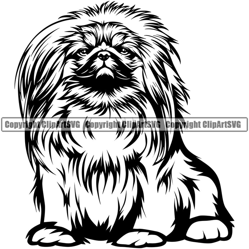 Pekingese Dog Sitting Design Puppy Pup Head Purebred Pedigree Canine K-9 K9 Animal Cute Face Animal Clipart SVG