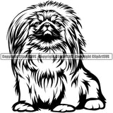 Pekingese Dog Sitting Design Puppy Pup Head Purebred Pedigree Canine K-9 K9 Animal Cute Face Animal Clipart SVG