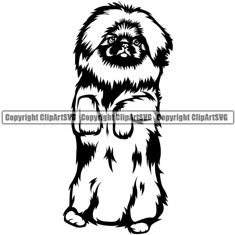Pekingese Dog Begging Design Element Head Purebred Pedigree Canine K-9 K9 Animal Portrait Doggy Face Cute Puppy Pup Vector Clipart SVG