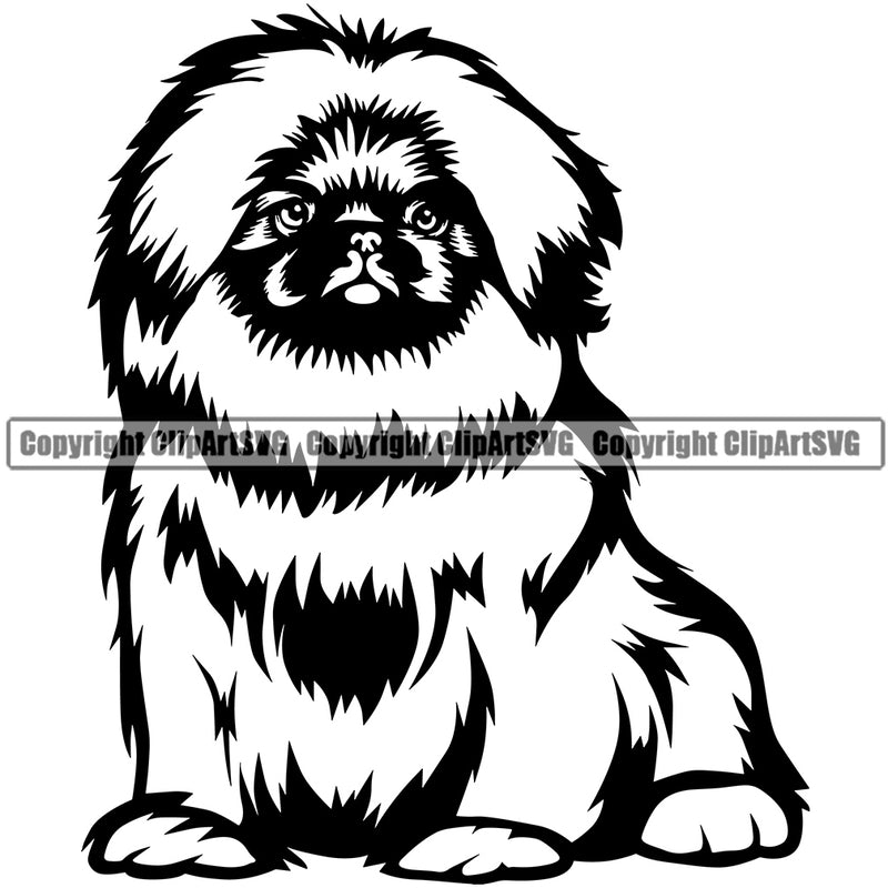 Pekingese Dog Sitting Design Element Purebred Pedigree Canine K-9 K9 Animal Portrait Doggy Cute Face Body Puppy Pup Head Clipart SVG
