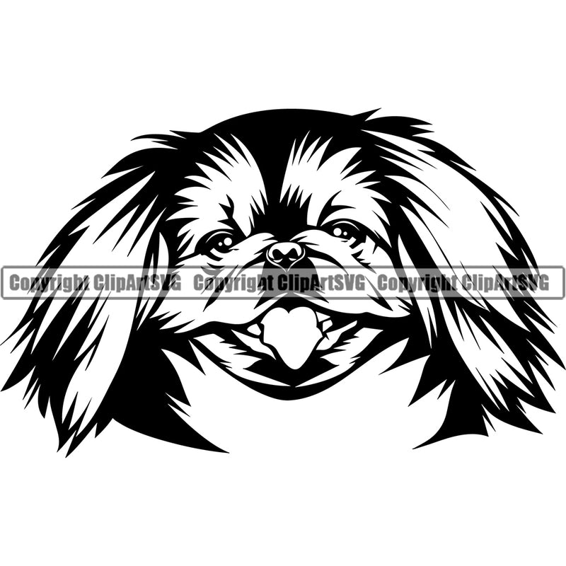 Pekingese Dog Head Design Cute Face Animal Purebred Pedigree Canine K-9 K9 Animal Portrait Doggy Face Cute Body Vector Clipart SVG