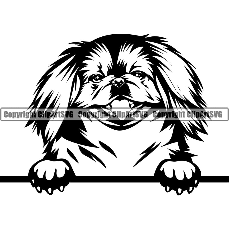 Pekingese Peeking Design Dog Puppy Pup Head Animal Portrait Doggy Face Cute Pedigree Canine K-9 K9 Purebred Vector Clipart SVG