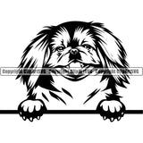 Pekingese Peeking Design Dog Puppy Pup Head Animal Portrait Doggy Face Cute Pedigree Canine K-9 K9 Purebred Vector Clipart SVG