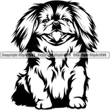 Pekingese Dog Sitting Design Element Puppy Pup Head Purebred Pedigree Canine Cute Face K9 Animal Portrait Doggy Vector Clipart SVG