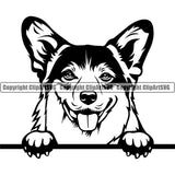 Pembroke Welsh Corgi Dog Peeking Design Element Head Purebred Pedigree Canine K-9 K9 Animal Portrait Doggy Face Cute Puppy Vector Clipart SVG