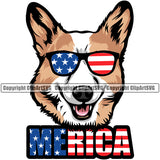 Pembroke Welsh Corgi Dog Wearing Sunglasses With Color Text Design Element Head Purebred Pedigree Canine K-9 K9 Animal Portrait Doggy Cute Face Design Element Vector Clipart SVG