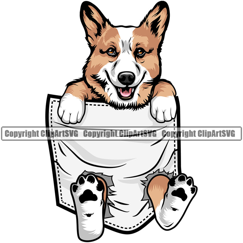 Pembroke Welsh Corgi Dog Hanging From Shirt Pocket Color Design Element Puppy Pup Head Purebred Pedigree Canine K-9 Doggy Face K9 Animal Portrait Clipart SVG