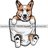 Pembroke Welsh Corgi Dog Hanging From Shirt Pocket Color Design Element Puppy Pup Head Purebred Pedigree Canine K-9 Doggy Face K9 Animal Portrait Clipart SVG