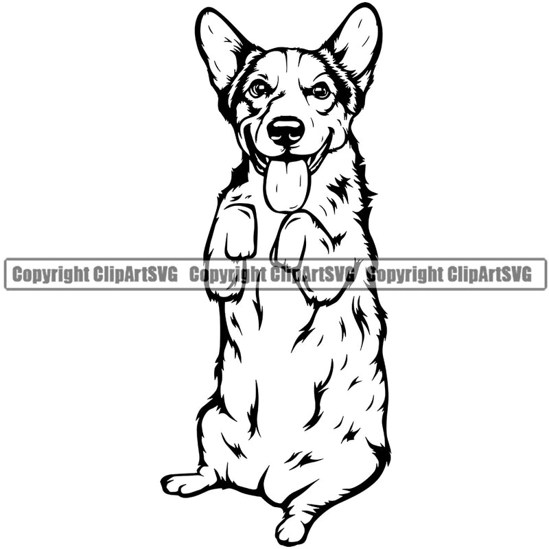 Pembroke Welsh Corgi Dog Begging Design Element Puppy Pup Head Purebred Pedigree Canine Face Cute Body  K-9 K9 Animal Portrait Doggy Clipart SVG