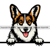 Pembroke Welsh Corgi Dog Peeking Design Canine K-9 K9 Animal Portrait Doggy Face Cute Puppy Pup Head Purebred Pedigree Vector Clipart SVG