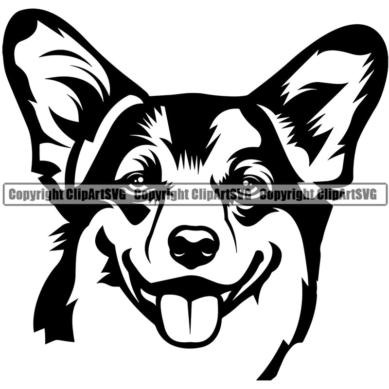 Pembroke Welsh Corgi Dog Head Design Element Puppy Pup Head Purebred Pedigree Canine K-9 K9 Animal Portrait Doggy Face Vector Clipart SVG
