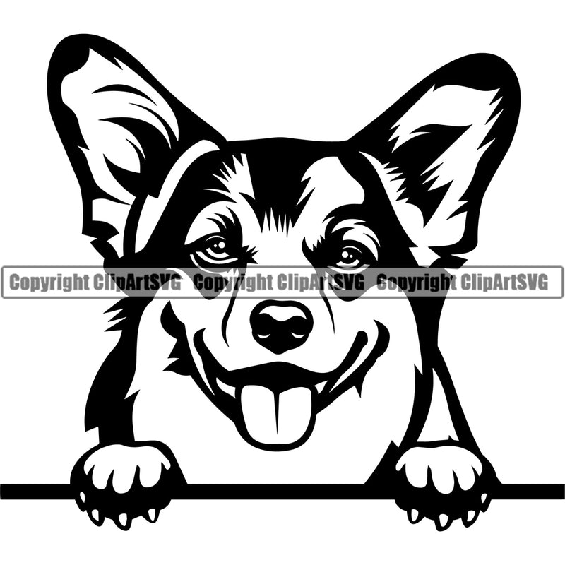 Pembroke Welsh Corgi Dog Peeking Design Head Purebred Pedigree Canine K-9 K9 Animal Portrait Doggy Face Cute Body Clipart SVG