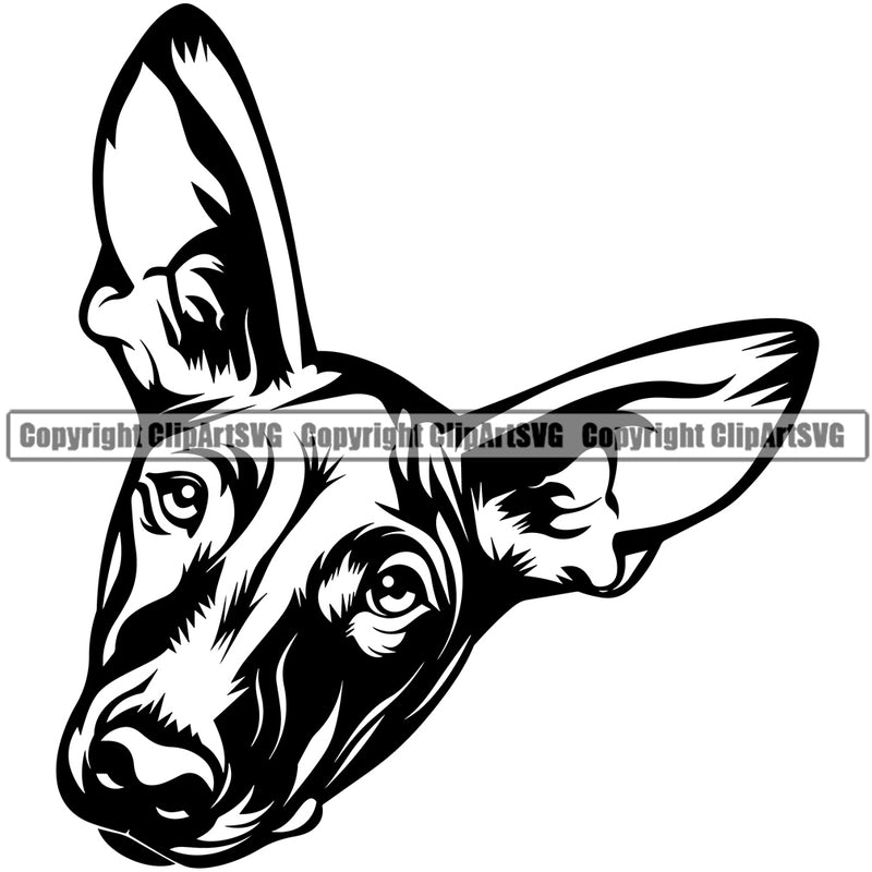 Pharaoh Hound Dog Head Design Puppy Pup Head Purebred Pedigree K-9 Animal Portrait Doggy Face Cute Clipart SVG