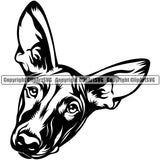 Pharaoh Hound Dog Head Design Puppy Pup Head Purebred Pedigree K-9 Animal Portrait Doggy Face Cute Clipart SVG