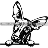 Pharaoh Hound Dog Peeking Design Element Cute Face Puppy Pup Head Purebred Pedigree Canine K-9 K9 Animal Portrait Doggy Clipart SVG