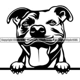 Pit Bull Peeking Design Element  Puppy Pup Head Purebred Pedigree Canine K-9 K9 Animal Portrait Doggy Face Vector Clipart SVG