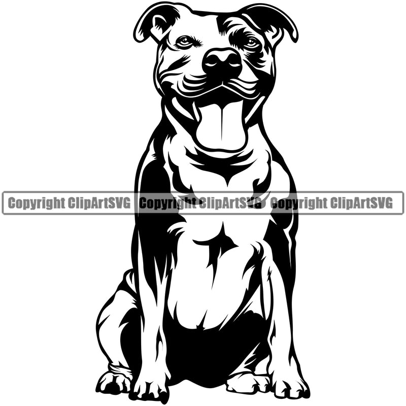 Pit Bull Dog Sitting Position Desing  Puppy Pup Head Purebred Pedigree Canine K-9 K9 Animal Doggy Face Vector Clipart SVG