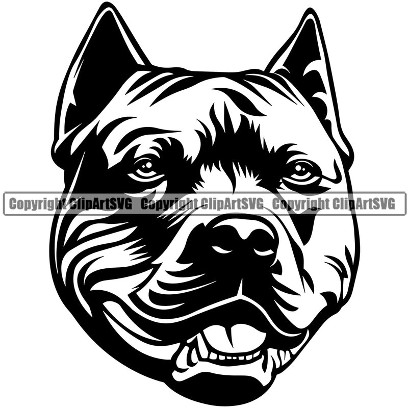 Pit Bull Cute Face Dog Animal  Puppy Purebred Pedigree Canine K-9 K9 Portrait Doggy Face Clipart SVG