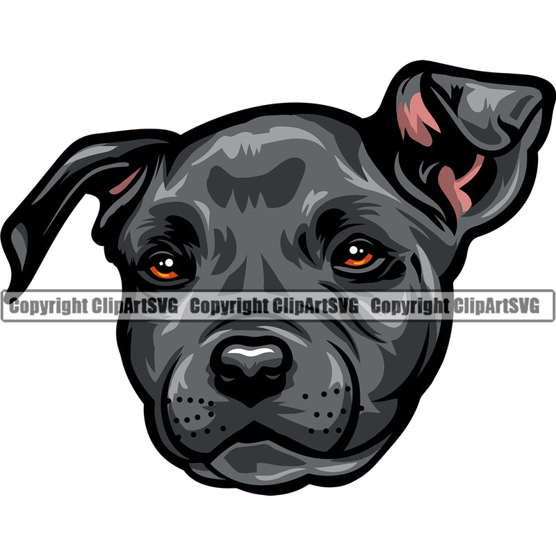 PitBull Dog Color Head Design Puppy Pup Head Purebred Pedigree Canine K-9 K9 Animal Portrait Doggy Face Vector Clipart SVG