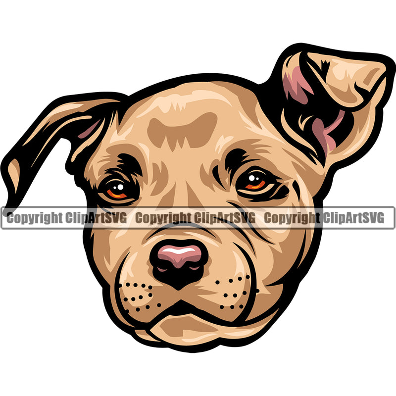 Pit Bull Dog Brown Color Head Design Element Puppy Pup Head Purebred Pedigree Canine K-9 K9 Animal Portrait Doggy Face Clipart SVG