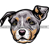 Pit Bull Dog Tri Color Design Element Puppy Pup Head Purebred Canine K-9 K9 Animal Doggy Face Vector Clipart SVG