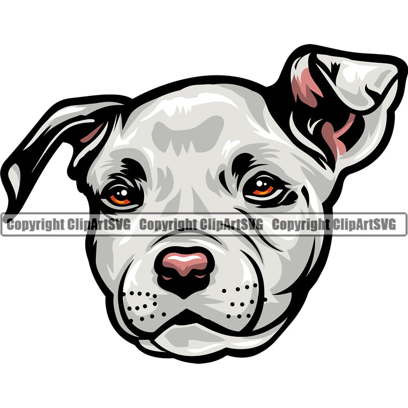 Pit Bull Dog White Color Head Design Element Puppy Pup Head Purebred Pedigree K-9 K9 Animal Doggy Face Vector Clipart SVG