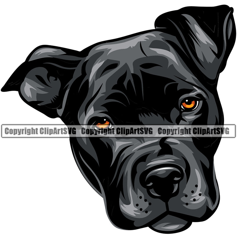 Pit Bull Dog Black Color Head Design Element Puppy Head Purebred Pedigree Canine K-9 K9 Animal Portrait Doggy Face Vector Clipart SVG