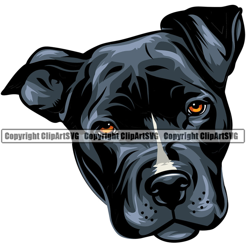 Pit Bull Dog Blue Color Head Design Element Puppy Pup Head Purebred Animal Portrait Doggy Face Pedigree Canine K-9 K9 Clipart SVG