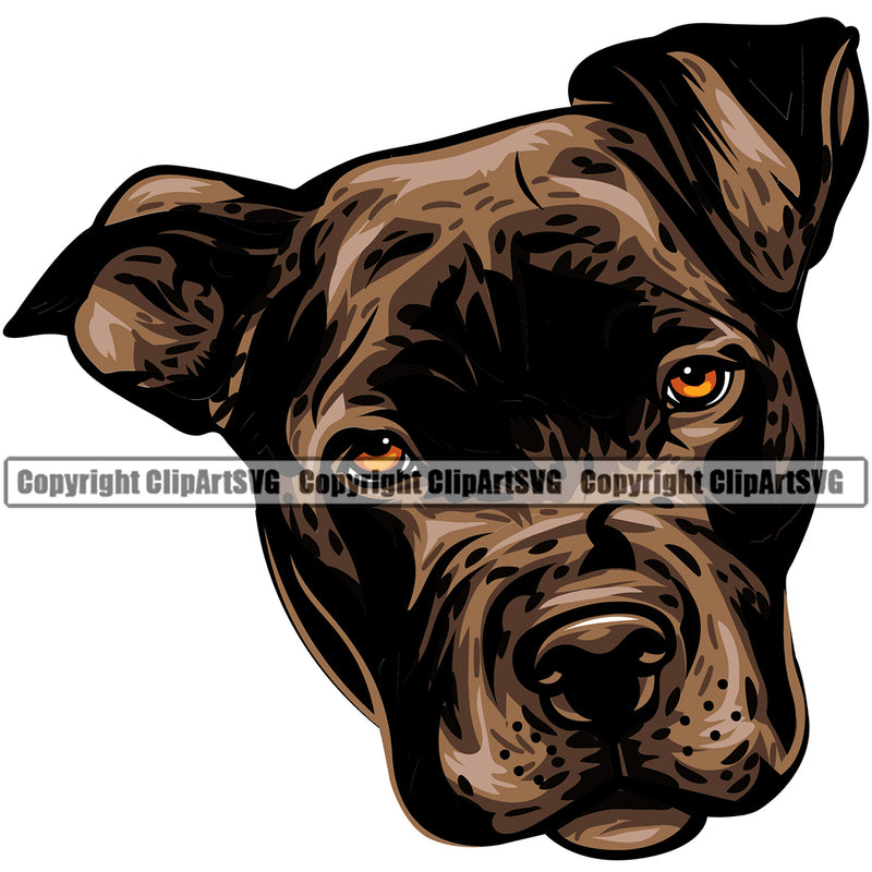 Pit Bull Dog Brindle Color Design Puppy Pup Head Canine K-9 K9 Animal Portrait Doggy Face Purebred Pedigree Vector Clipart SVG