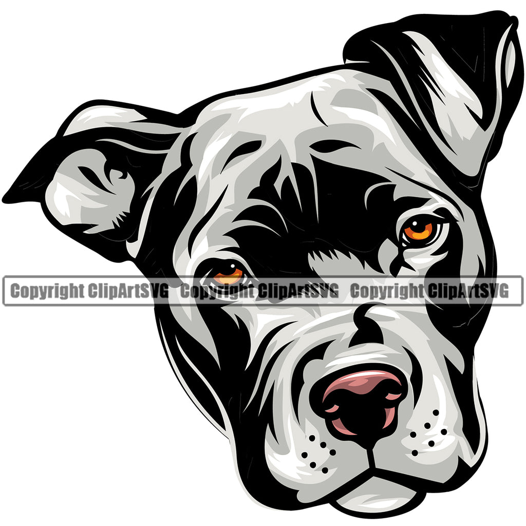 Pit Bull Dog White Color Puppy Pup Head Purebred Pedigree Canine K-9 K9 Animal Portrait Doggy Face Design Cute Clipart SVG