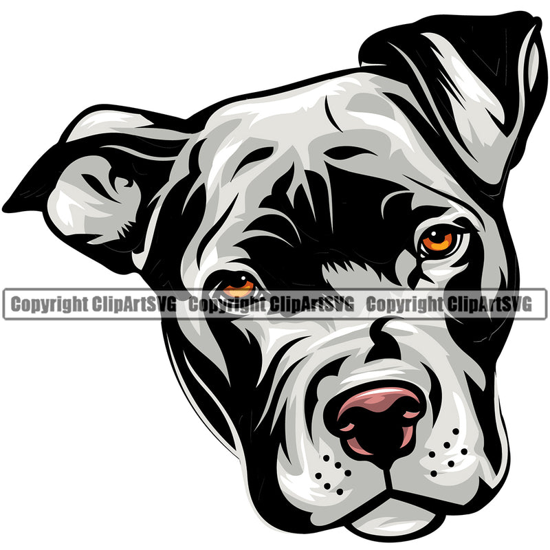 Pit Bull Dog White Color Puppy Pup Head Purebred Pedigree Canine K-9 K9 Animal Portrait Doggy Face Design Cute Clipart SVG