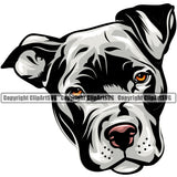 Pit Bull Dog White Color Puppy Pup Head Purebred Pedigree Canine K-9 K9 Animal Portrait Doggy Face Design Cute Clipart SVG