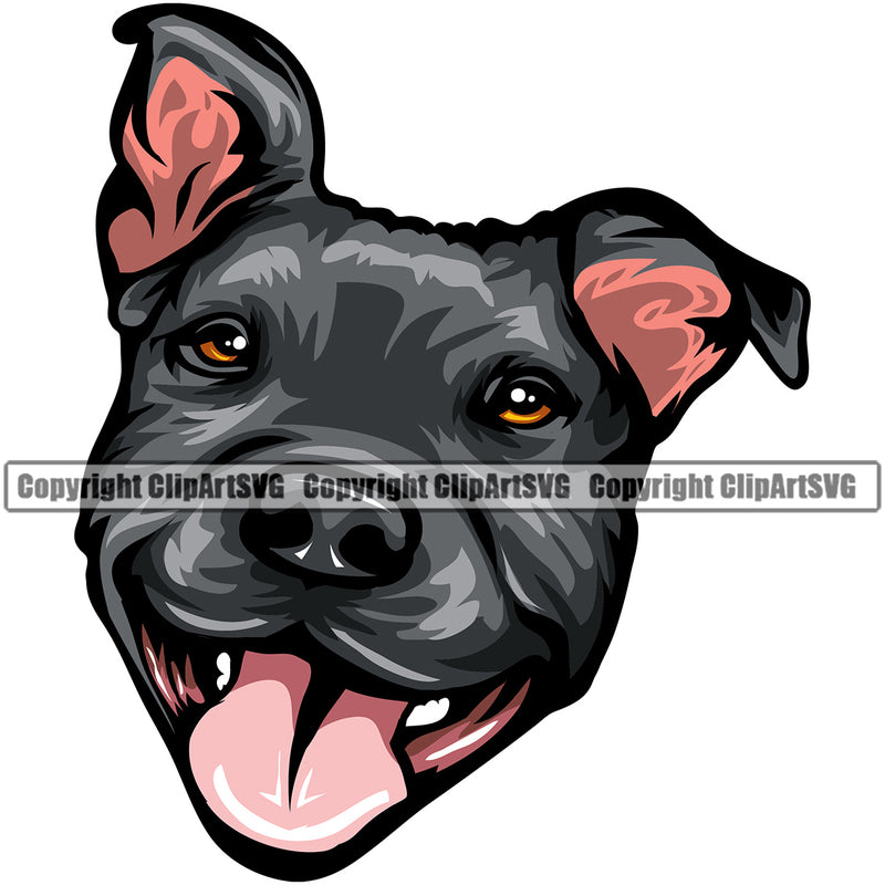 Pit Bull Dog Smile Face Black Color Head Puppy Pup Head Purebred Pedigree Canine K-9 K9 Animal Portrait Doggy Face Vector Clipart SVG