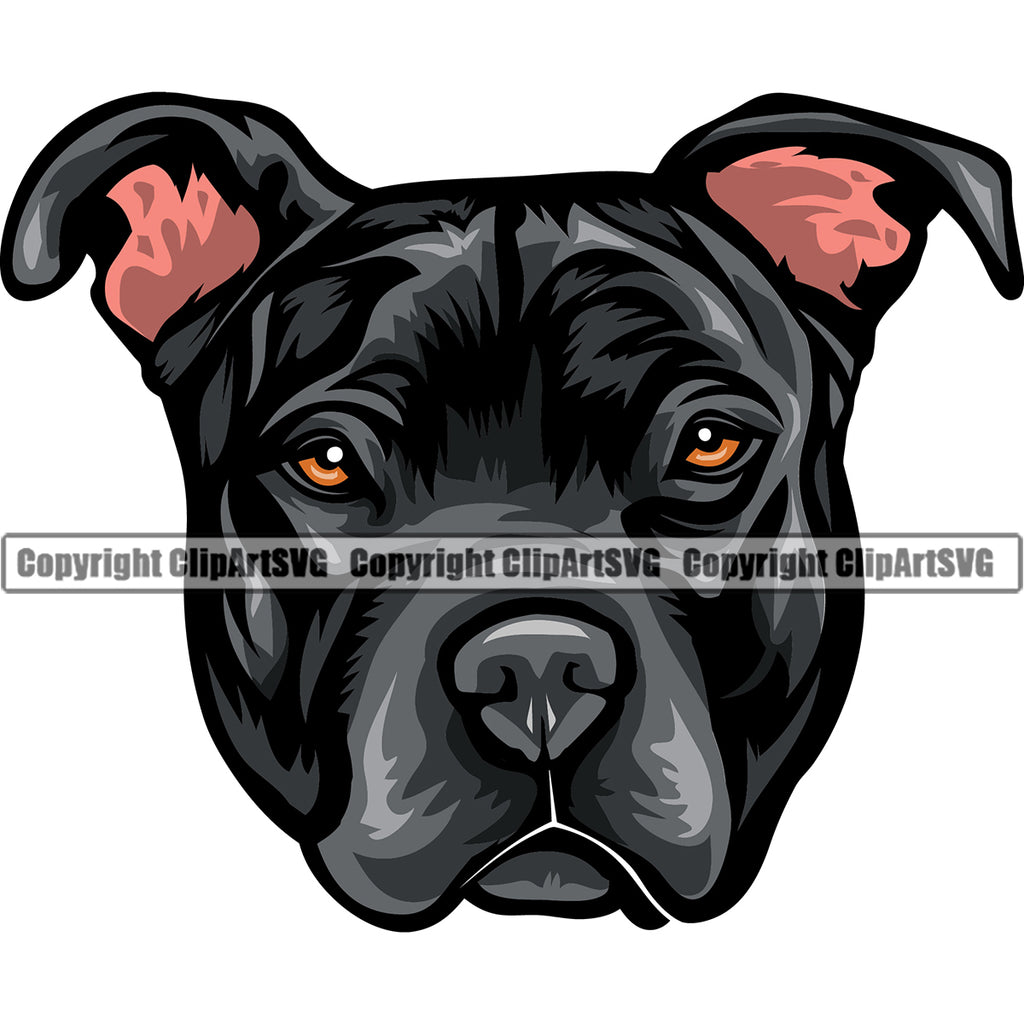 Pit Bull Dog Black Color Head Puppy Head Purebred Pedigree CanineK9 Animal Portrait Doggy Face Vector Clipart SVG
