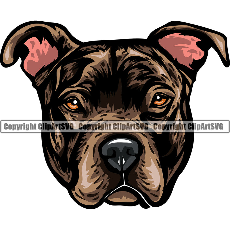 Pit Bull Dog Bridle Color Design Puppy Pup Head Purebred Pedigree Canine K-9 K9 Animal Portrait Doggy Face Vector Clipart SVG